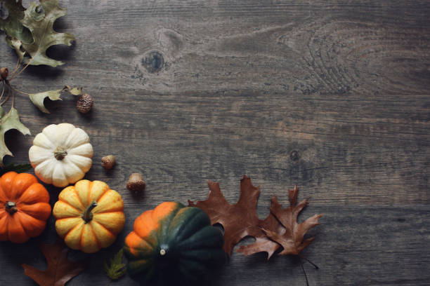 Thanksgiving season still life with colorful small pumpkins, acorn squash and fall leaves over rustic wooden background.